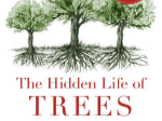 Hidden life of trees cover-39